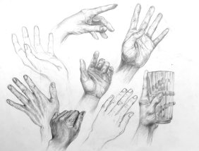 Studium dłoni