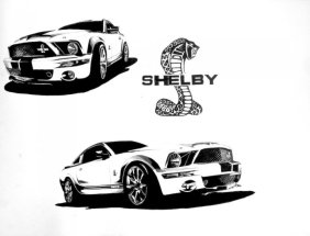 Shelby