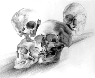 Analiza czaszki