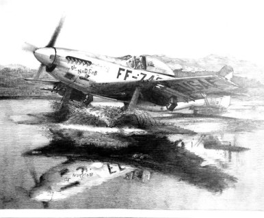 Samolot F-51